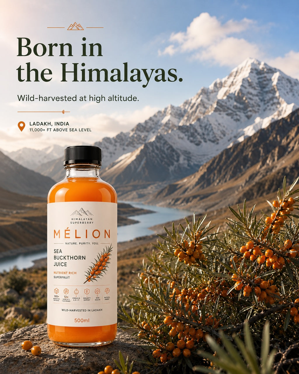 MÉLION Himalayan Superberry Sea Buckthorn Juice