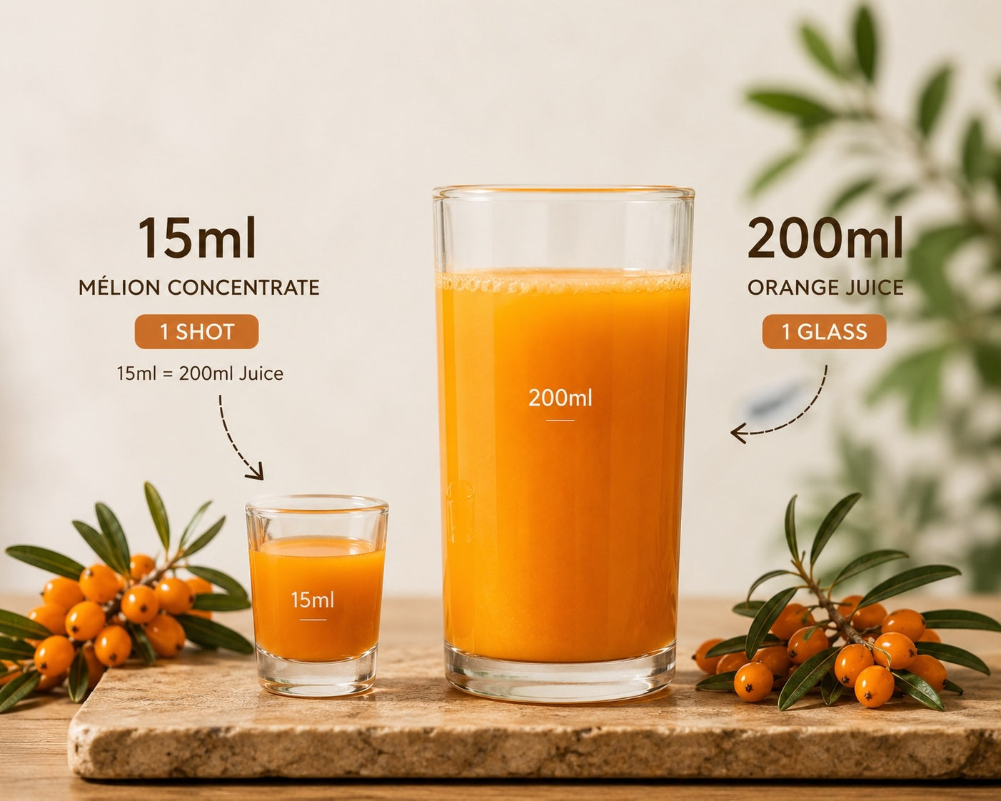 MÉLION Sea Buckthorn Concentrate