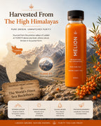 MÉLION Sea Buckthorn Concentrate